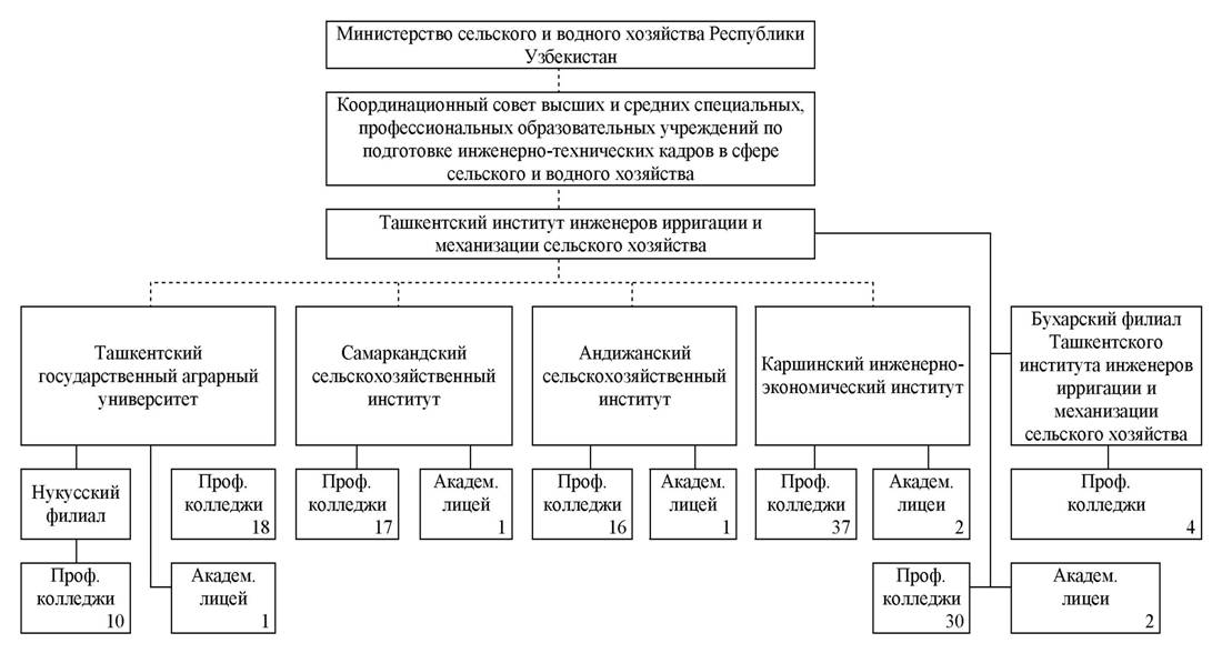 Система образования в узбекистане презентация